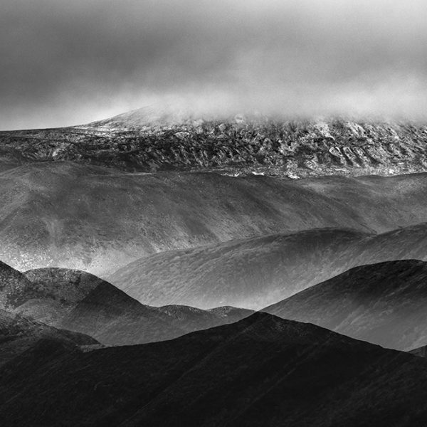 Degree in nature photography